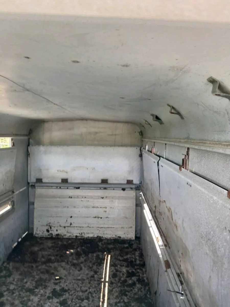 ifor Williams cattle trailer - Image 3
