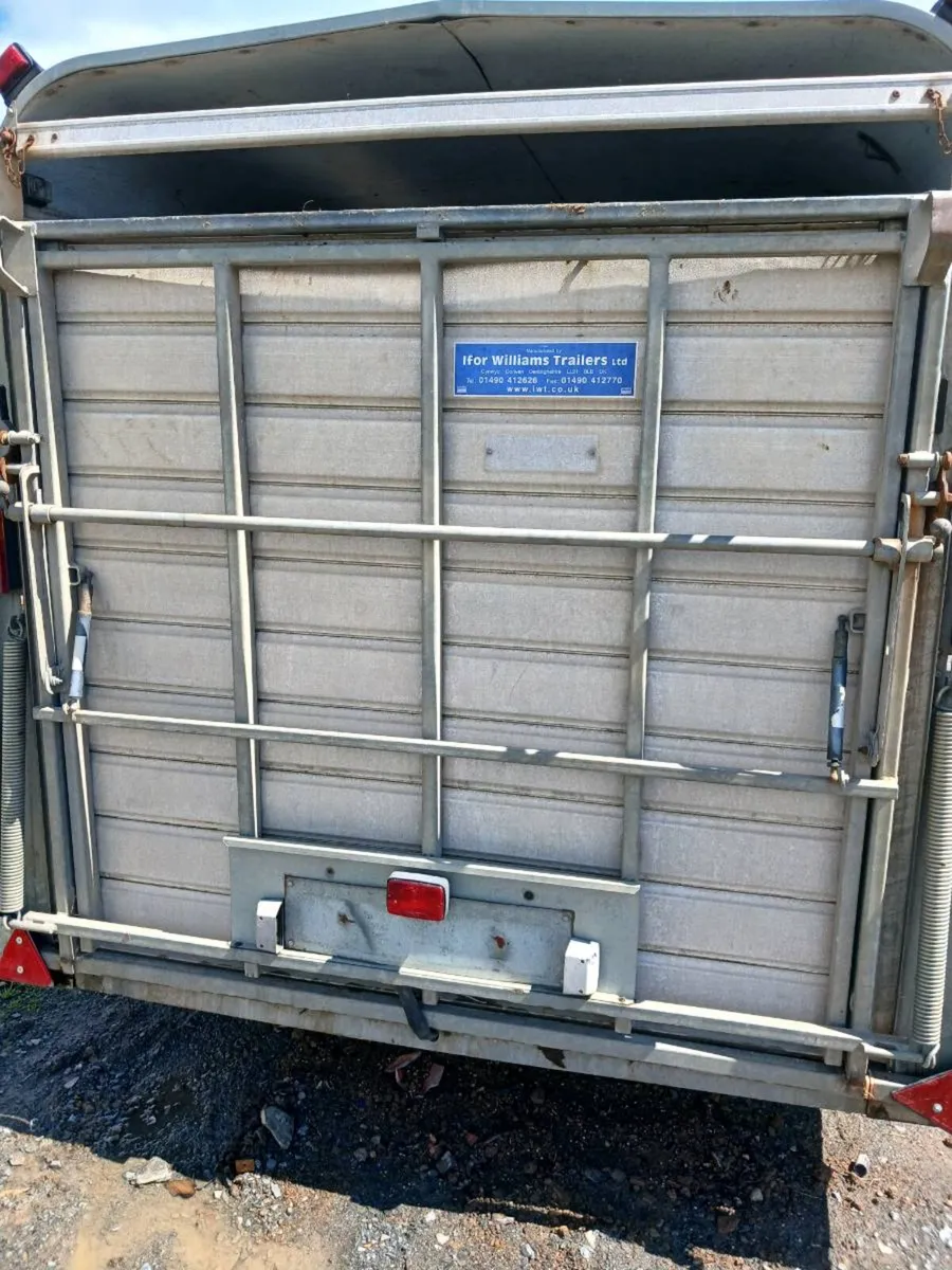 ifor Williams cattle trailer - Image 4