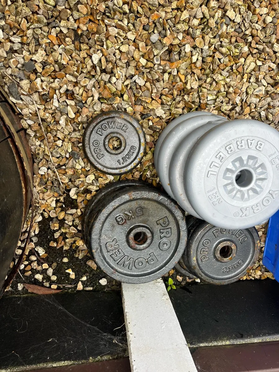 Weights - Image 2