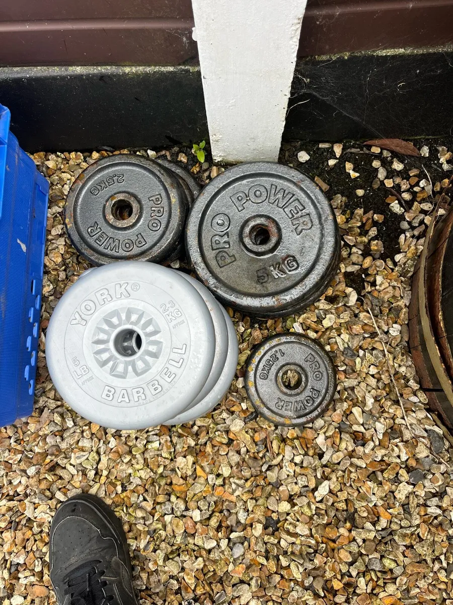 Weights - Image 1