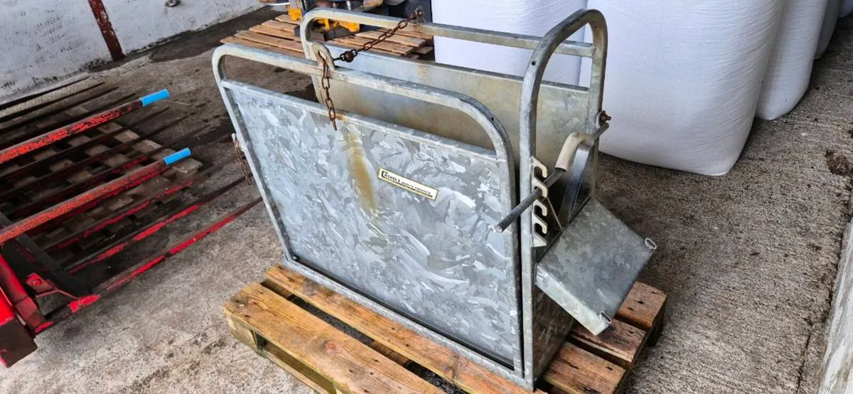 Calf dehorning crate - Image 1