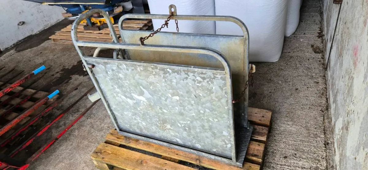 Calf dehorning crate - Image 3