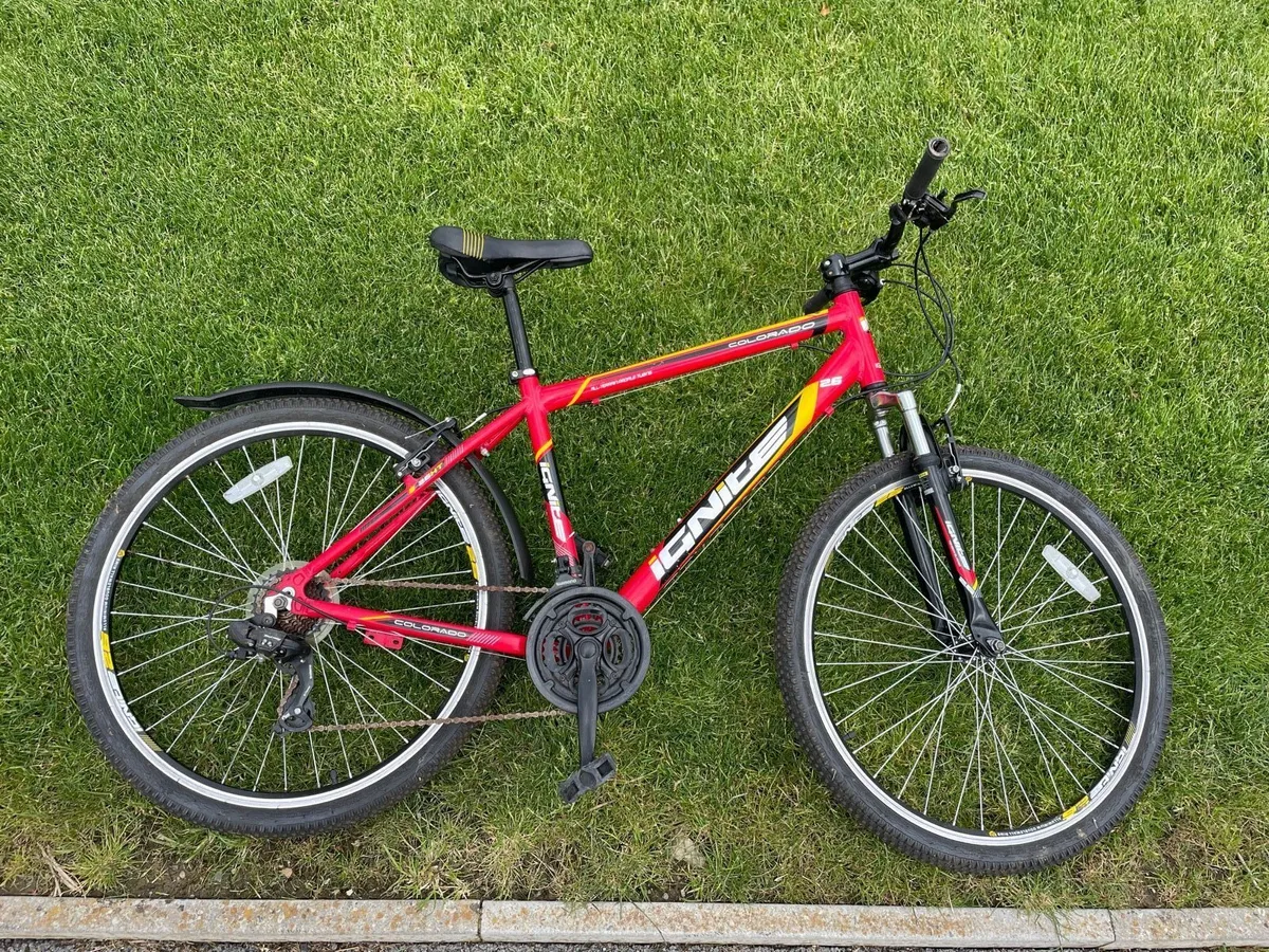 Men's hardtail mountain bike - Image 1