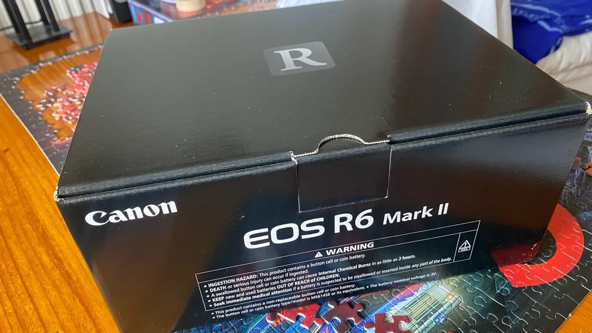 Canon r6 mark2 - Image 3