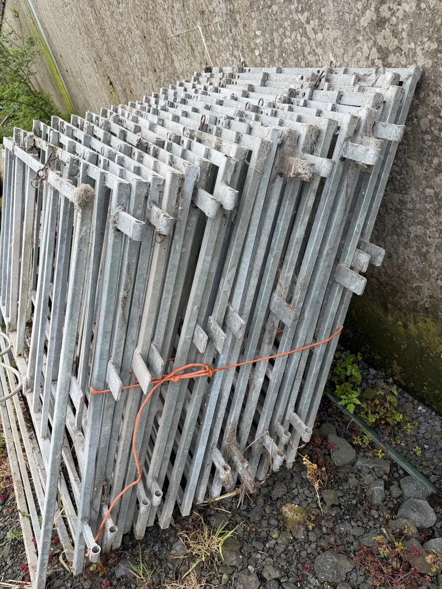 20 X Galvanised Steel Calf Pen Gates - Image 3