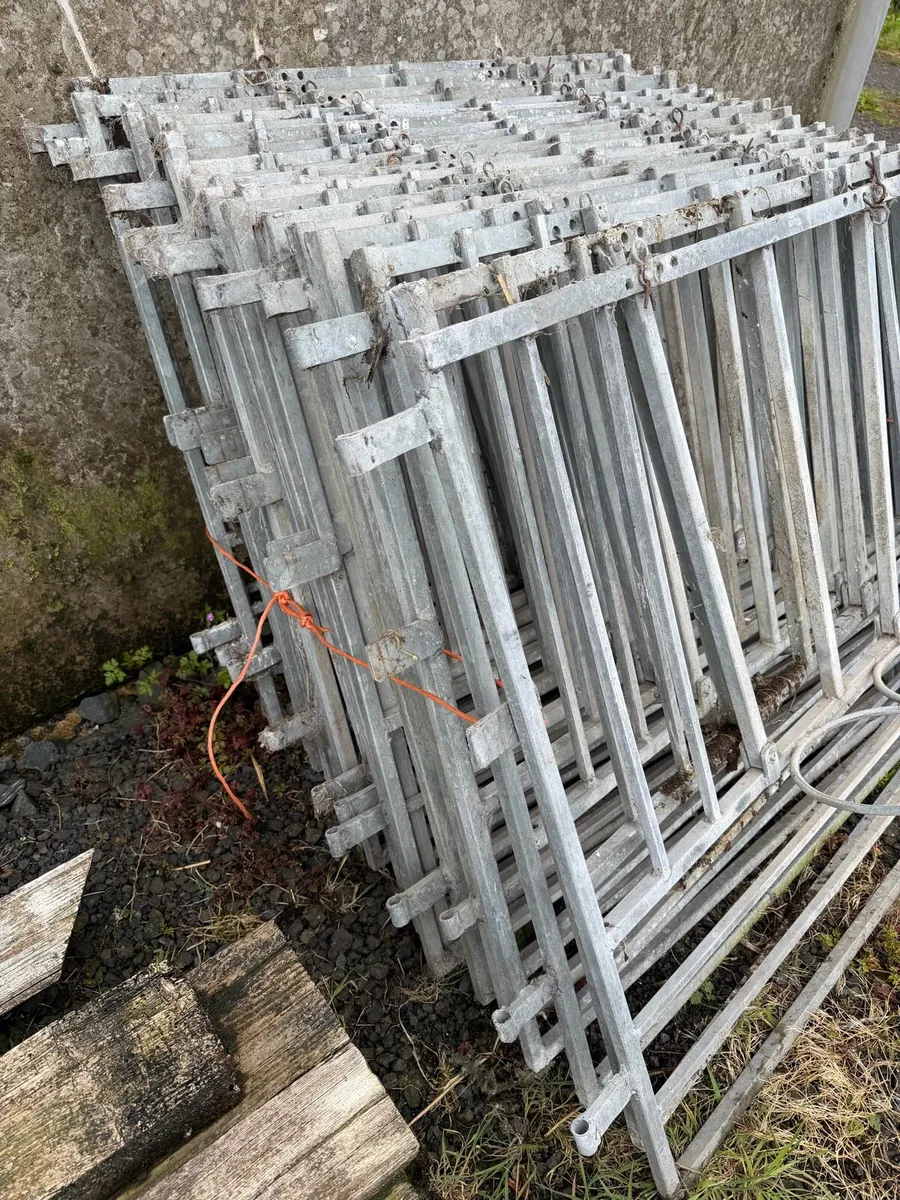 20 X Galvanised Steel Calf Pen Gates - Image 4