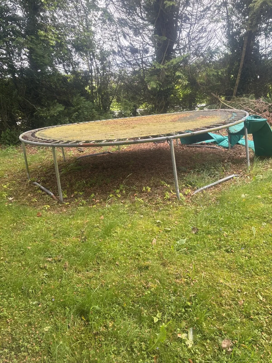 Trampoline