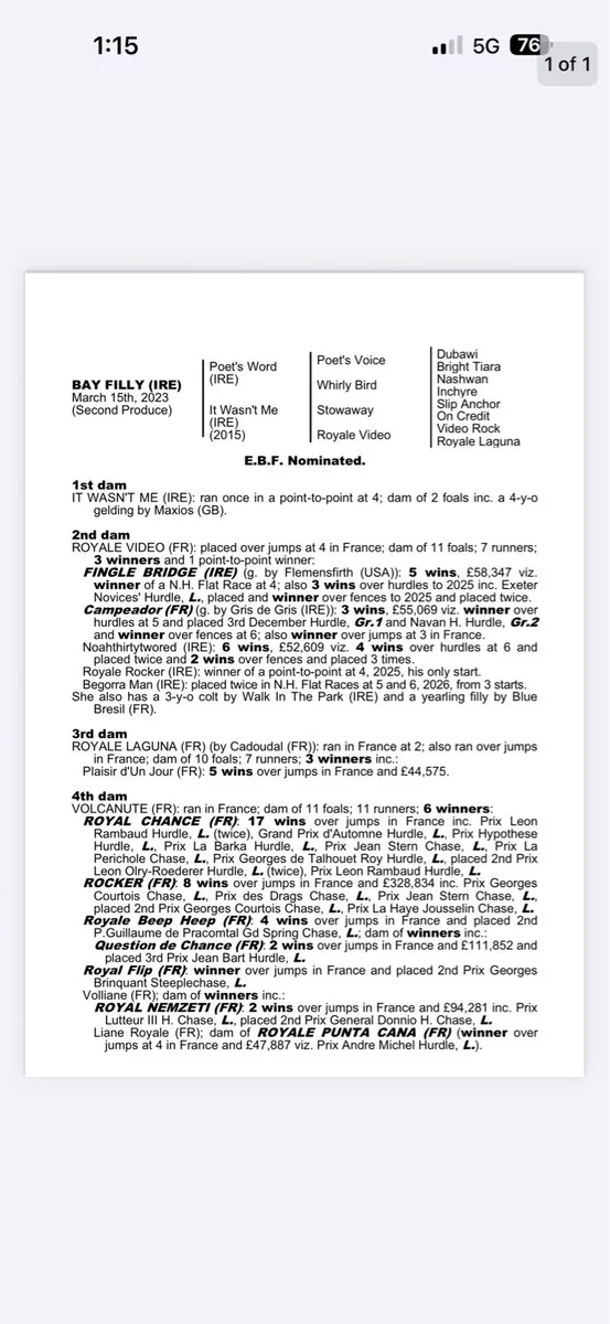 2023 Poet’s Word Filly - Image 2