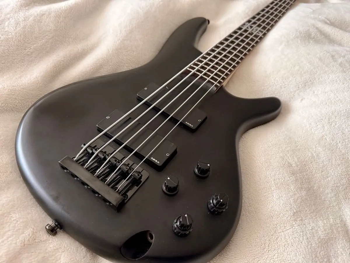 Ibanez K5 Fieldy (Korn)- 5 string METAL MACHINE - Image 3
