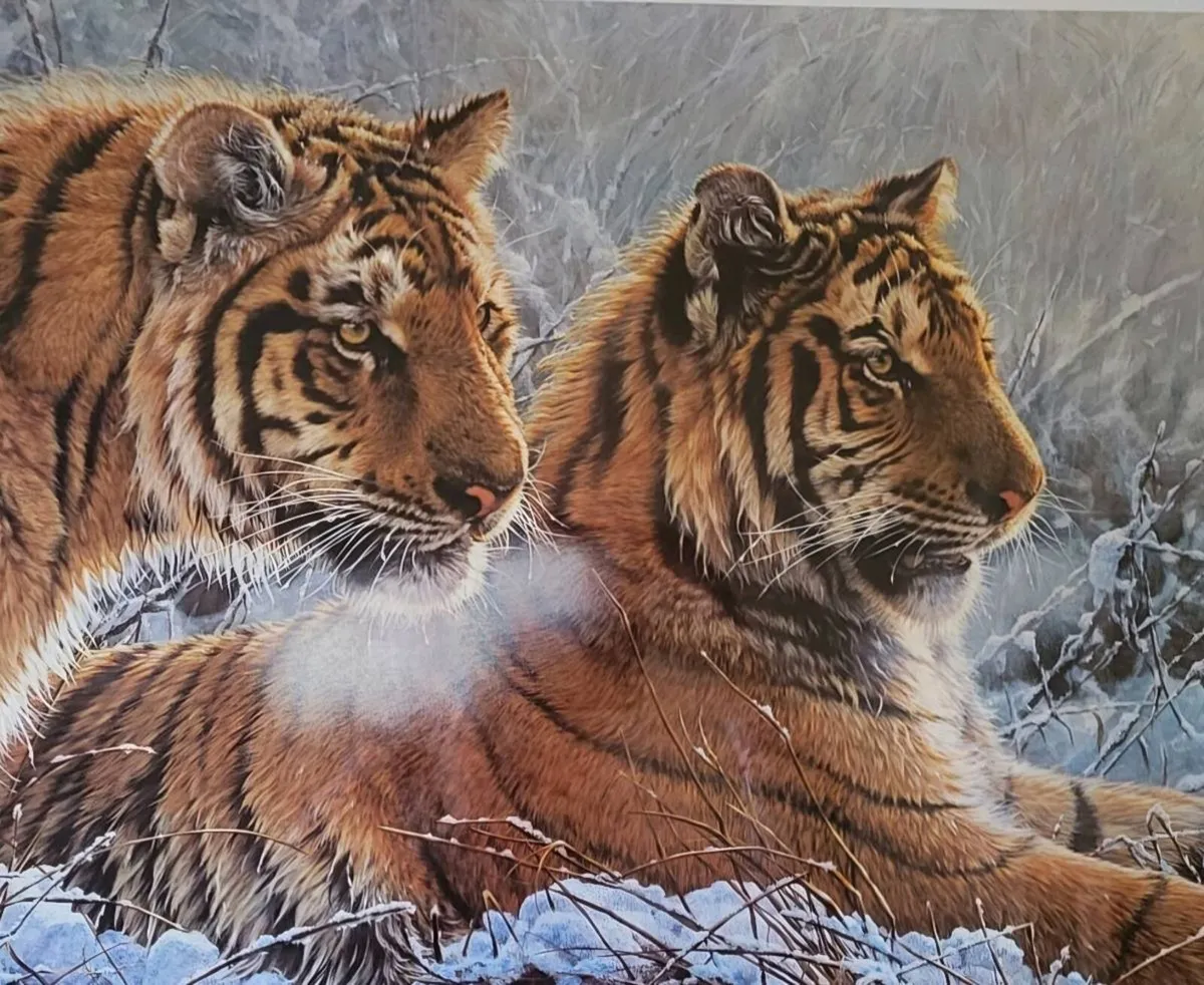 Ltd Edition "Siberian Gold" Picture by Alan M Hunt - Image 1