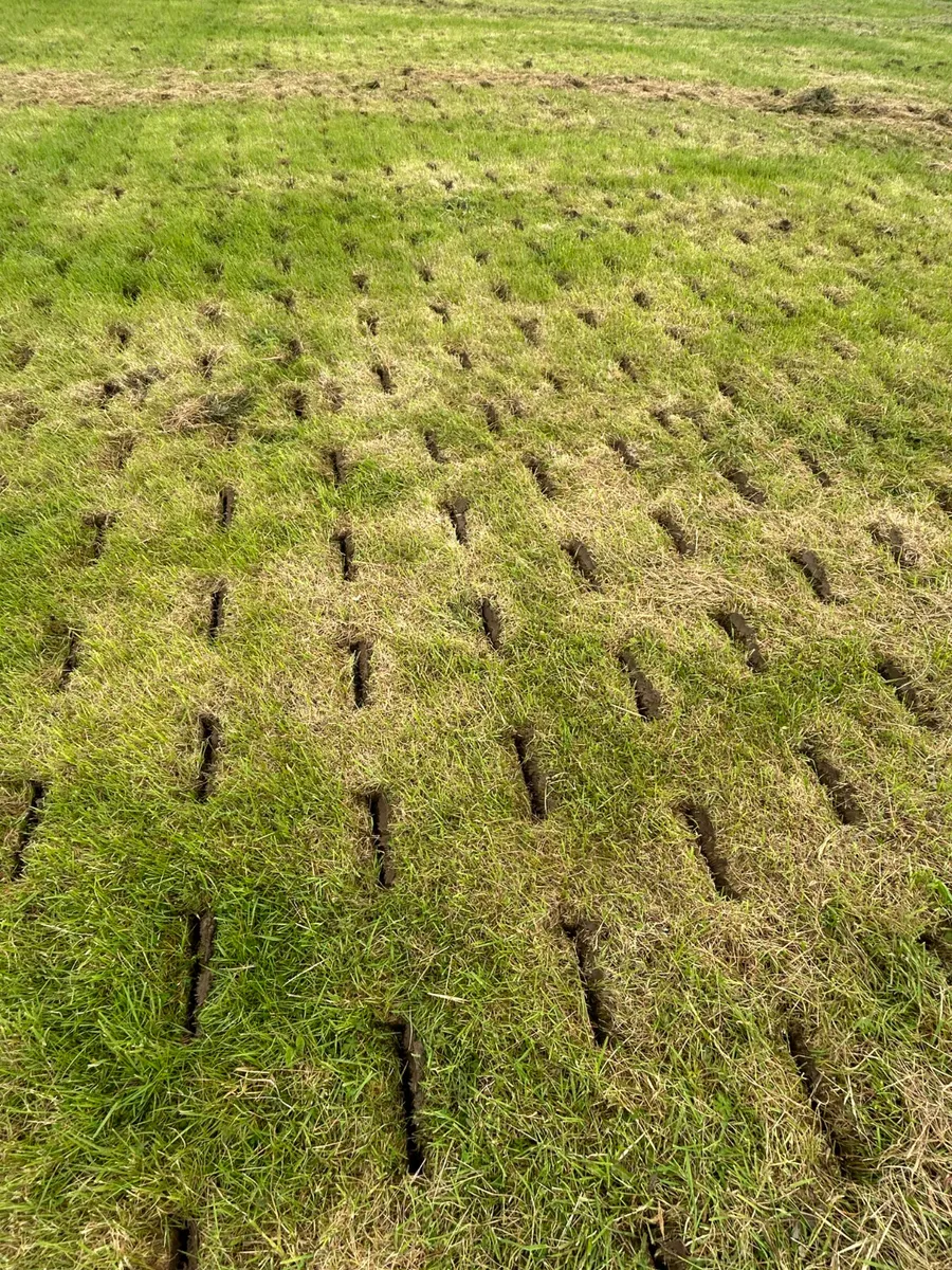 2.5 Metre Allstrong Aerator - Image 2