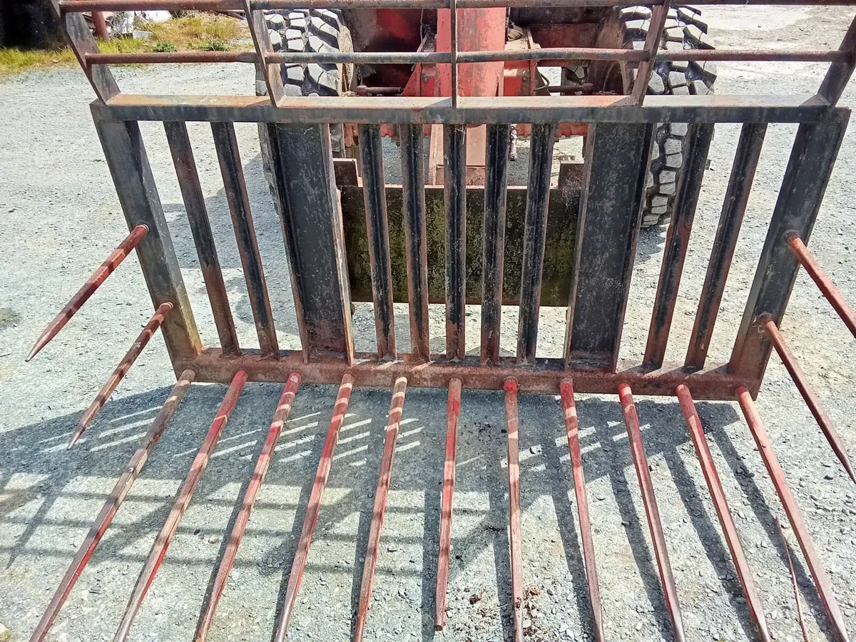 Buckrake - Image 2