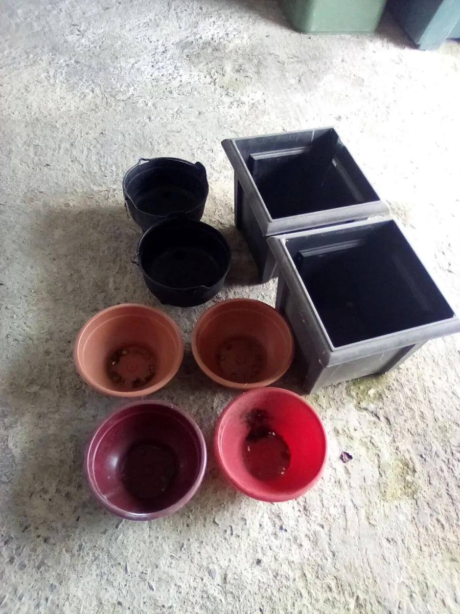 Free flower pots - Image 1