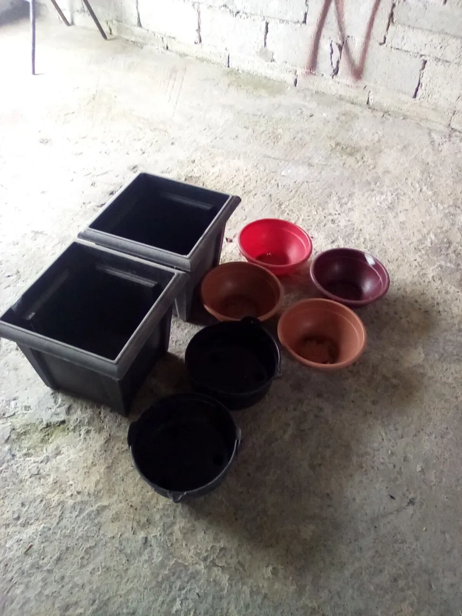 Free flower pots - Image 2