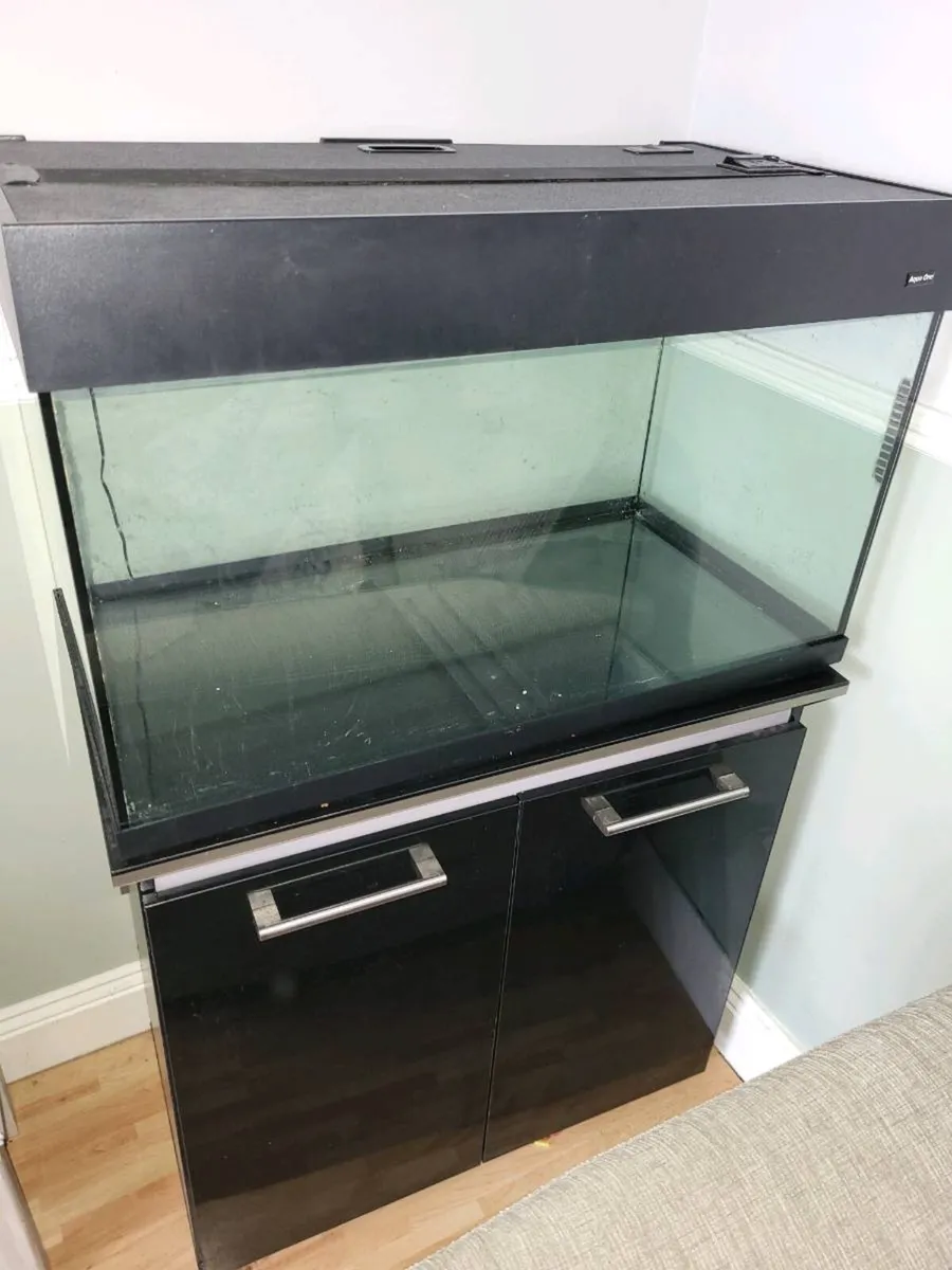 Fish Tank - Image 1