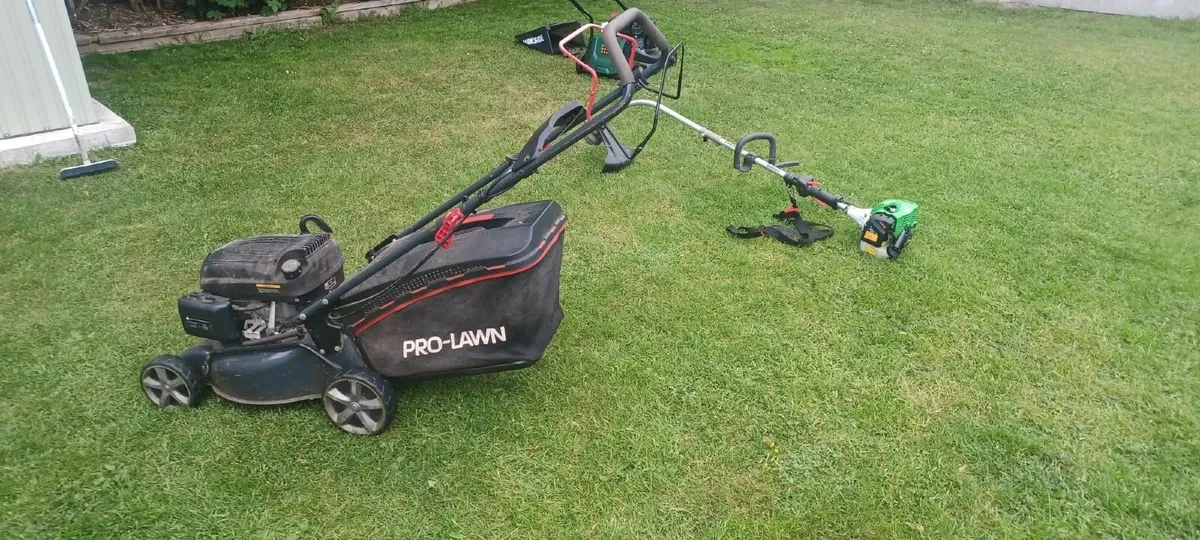 Garden cutting equipment (petrol) - Image 1