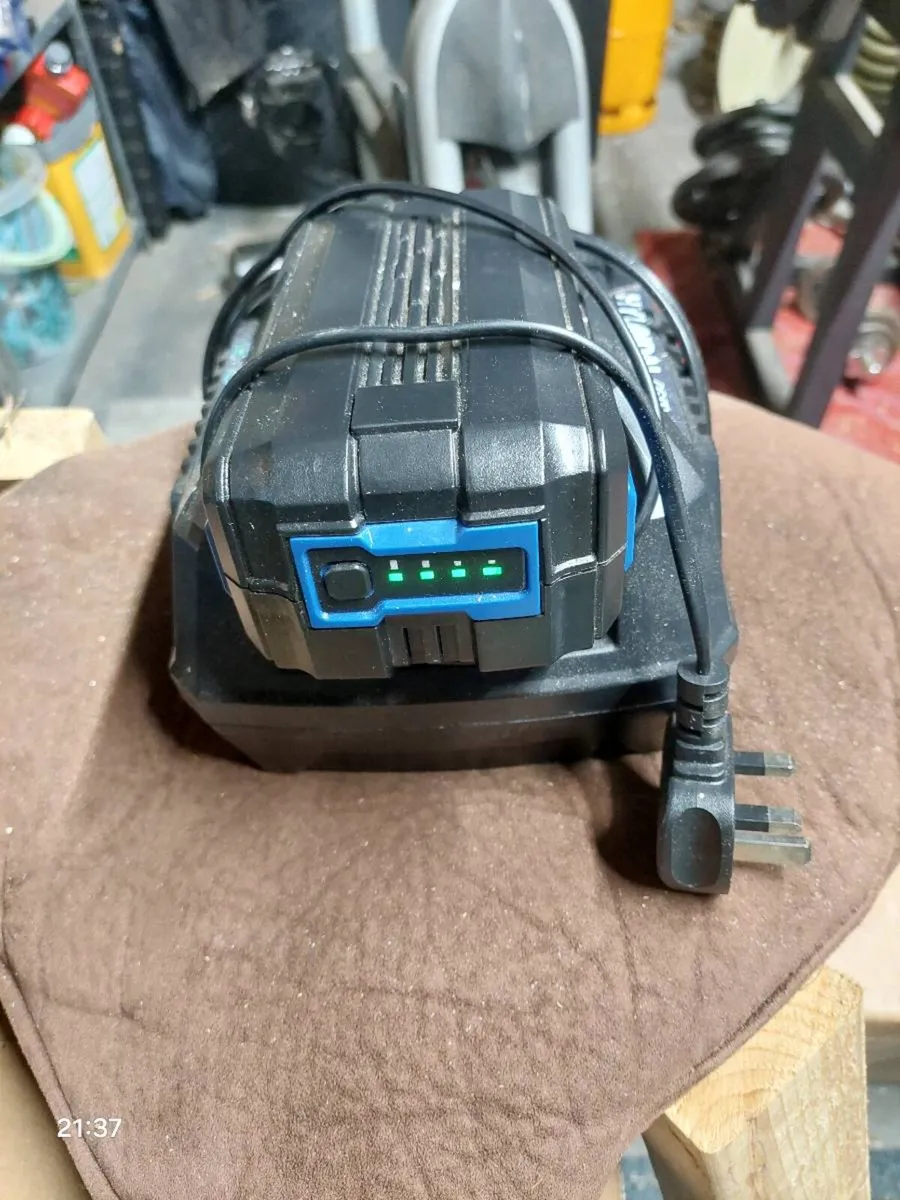 Hyundai 40v battery and charger - Image 1