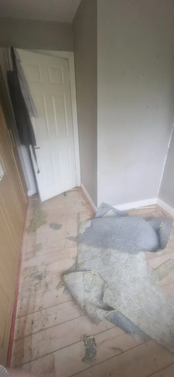 Carpet - Image 3