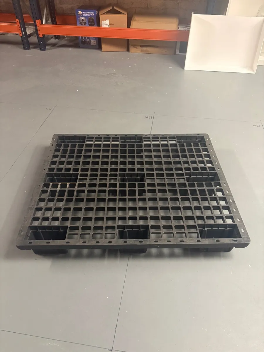 Plastic Pallet 1200x1000 *Free*