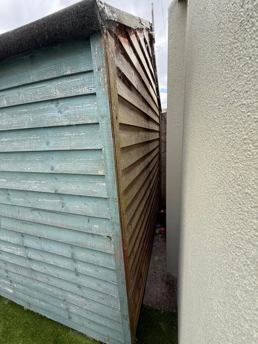 Shed - Image 3