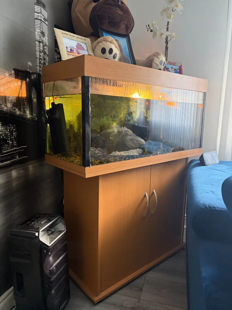 Aquarium with a turtle - Image 1