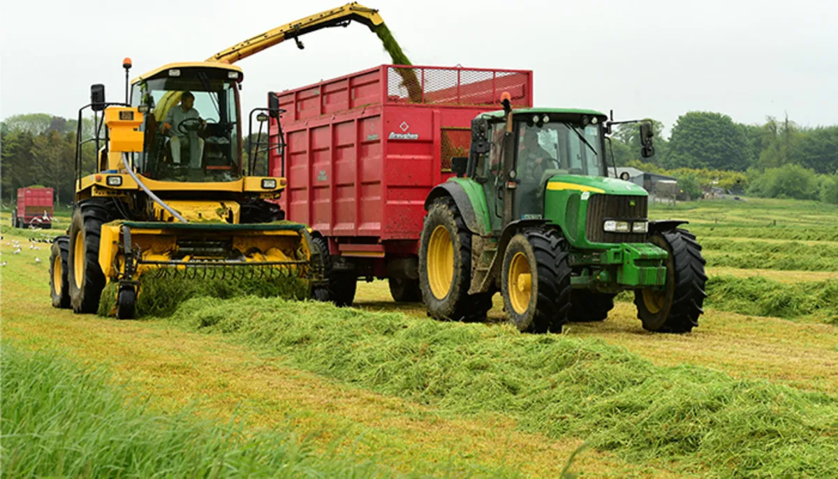 Growing Silage KILDORRERY area