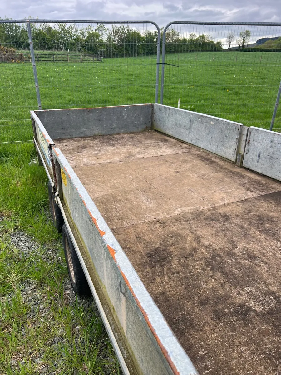 Ivor Williams Trailers - Image 3