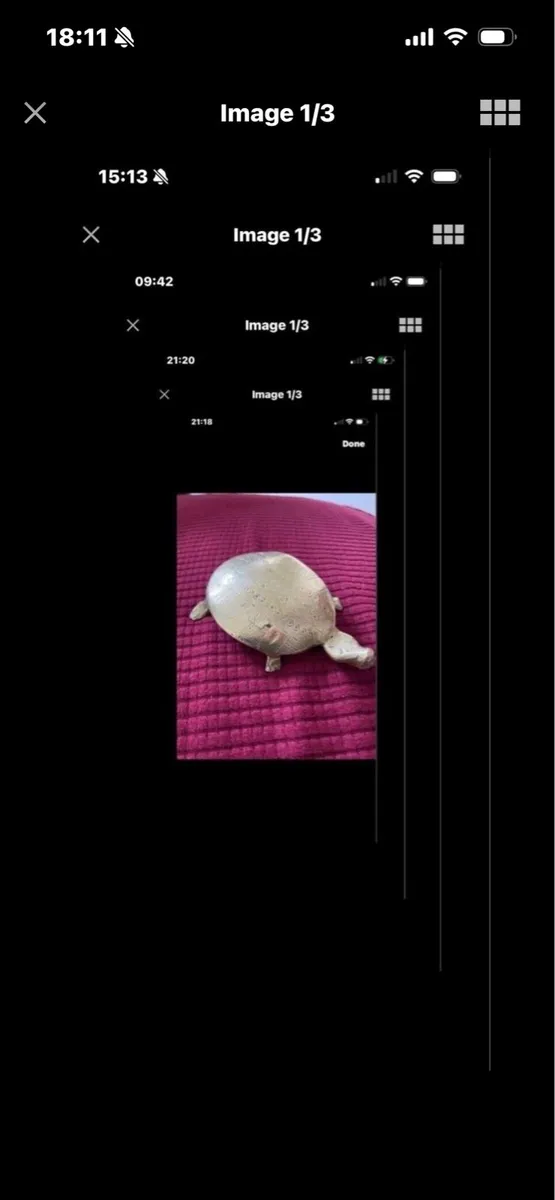 Brass Turtle - Image 1