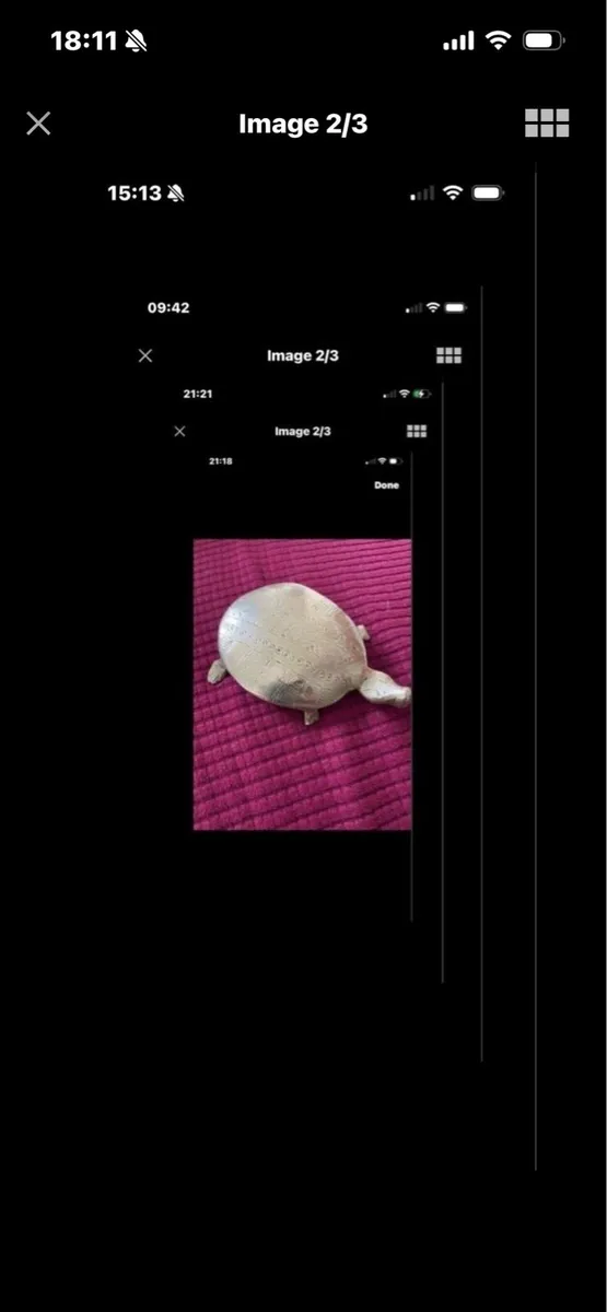 Brass Turtle - Image 2