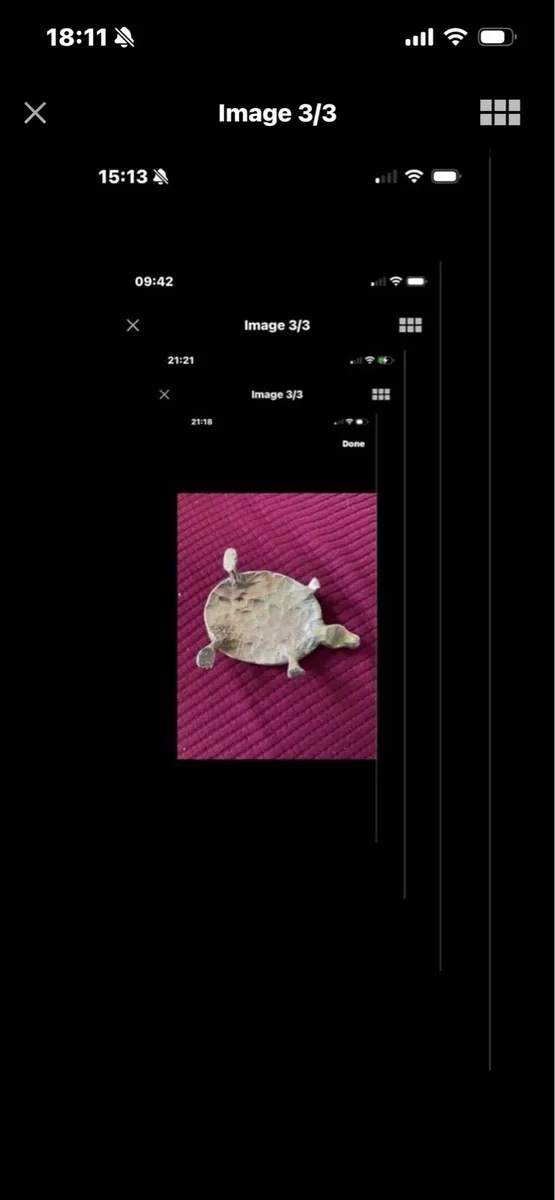 Brass Turtle - Image 3