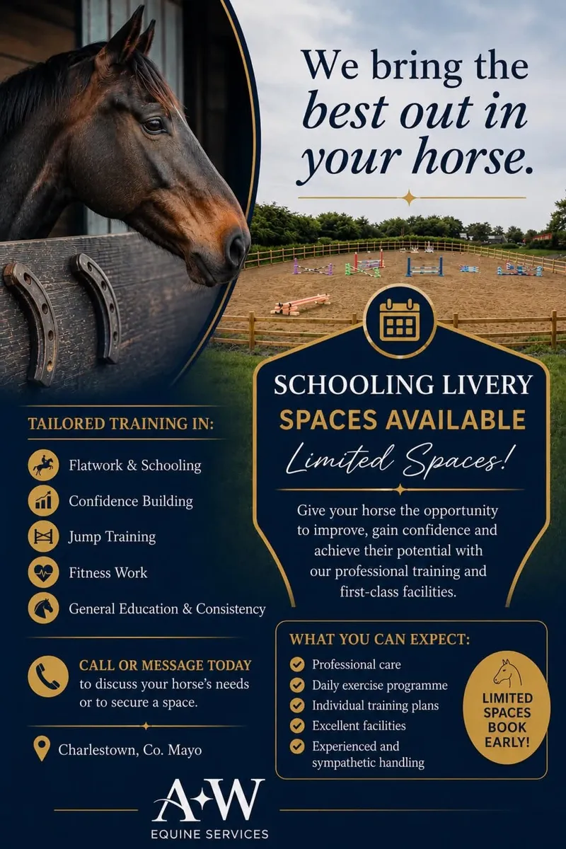 SCHOOLING LIVERY - TAKING BOOKINGS FROM 20th JUNE - Image 1