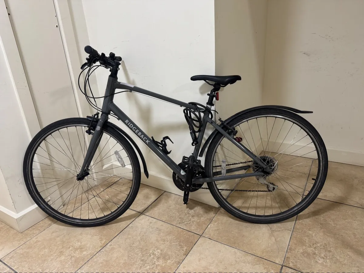 Ridgeback Velocity Adult Bike - LIKE NEW