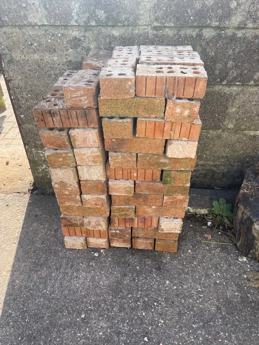 Bricks