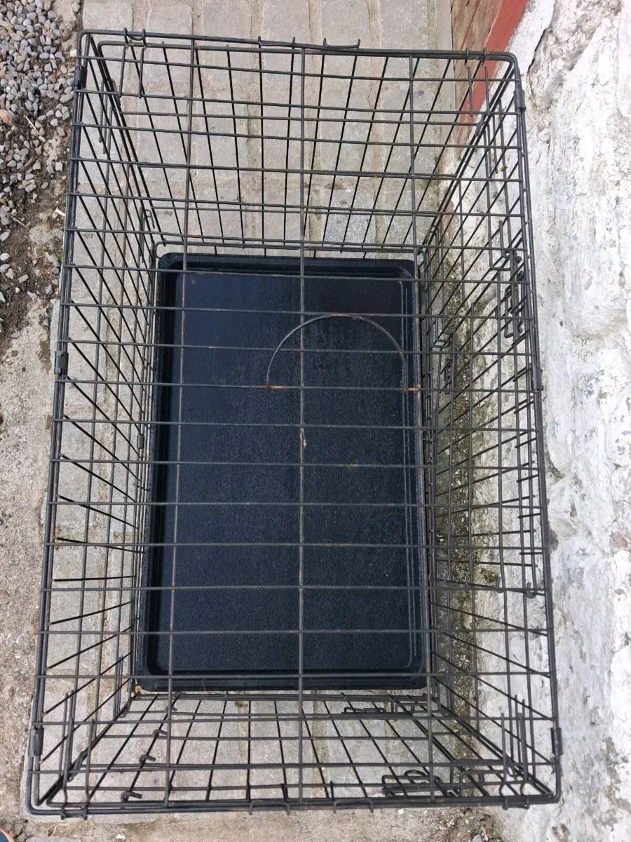 Dog crate - Image 2