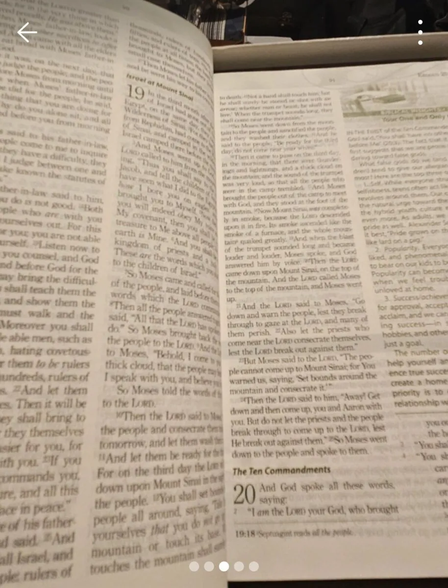 Family Life Marriage Bible - Image 3