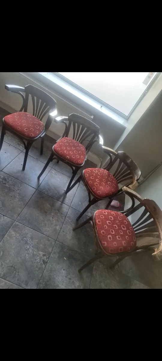 Antique bentwood armchairs - Image 1
