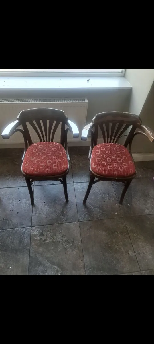 Antique bentwood armchairs - Image 3