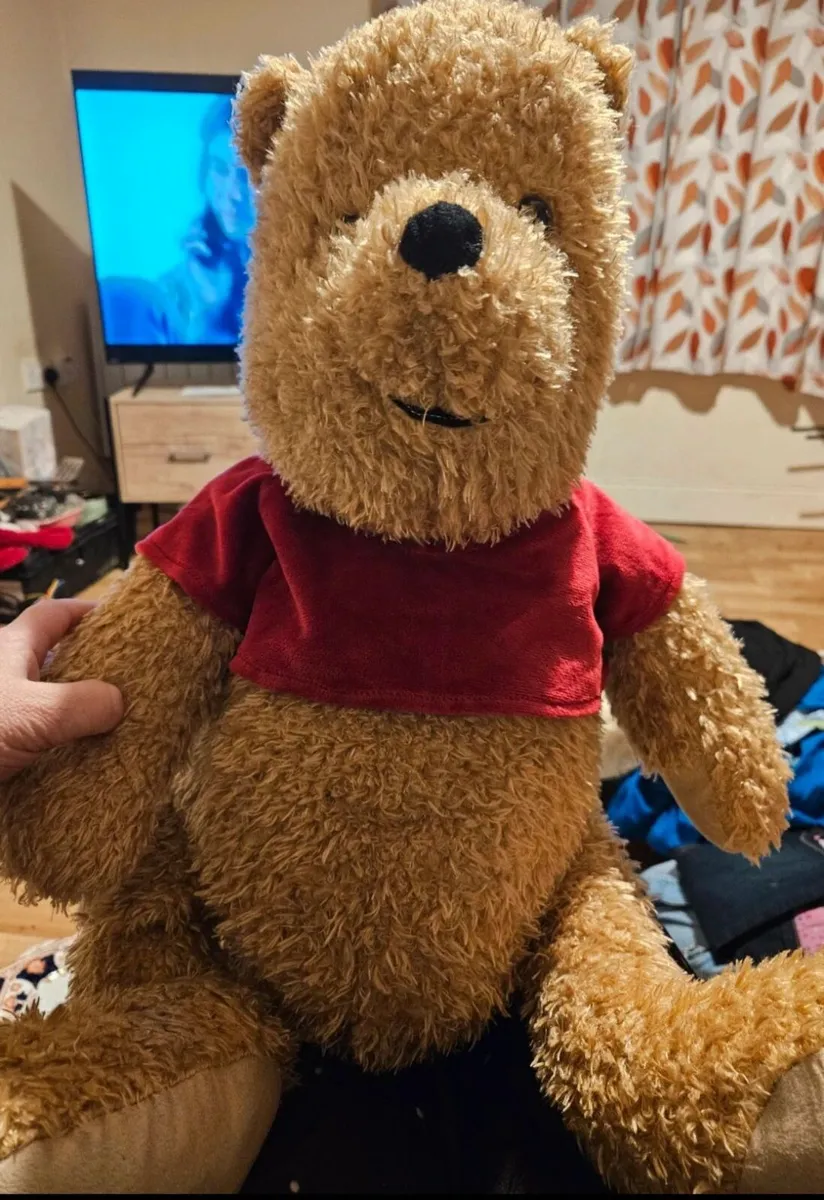 Large Winnie The Pooh Toy - Image 1