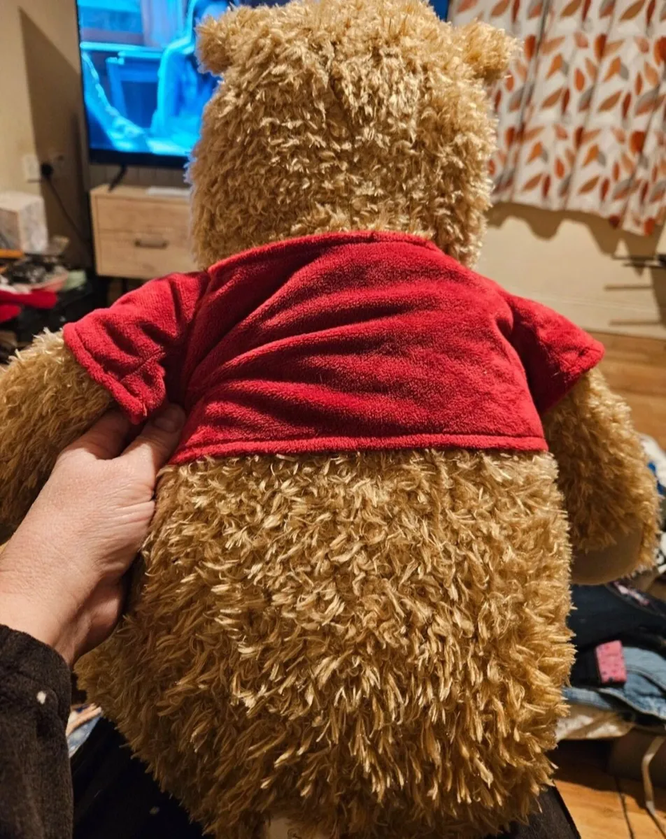 Large Winnie The Pooh Toy - Image 3