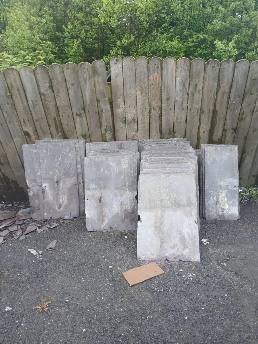 Blue Bangor slates - Image 1