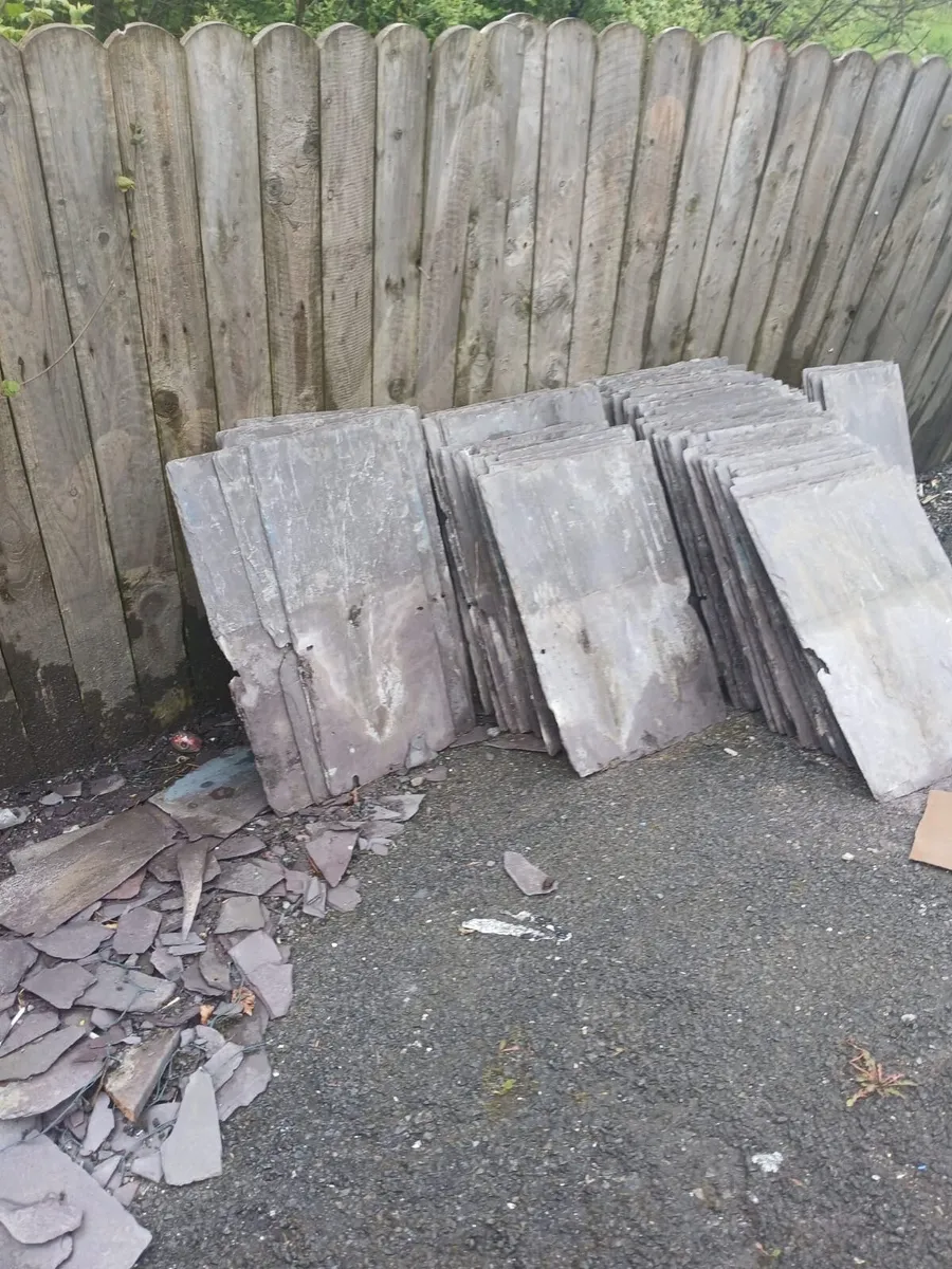 Blue Bangor slates - Image 2