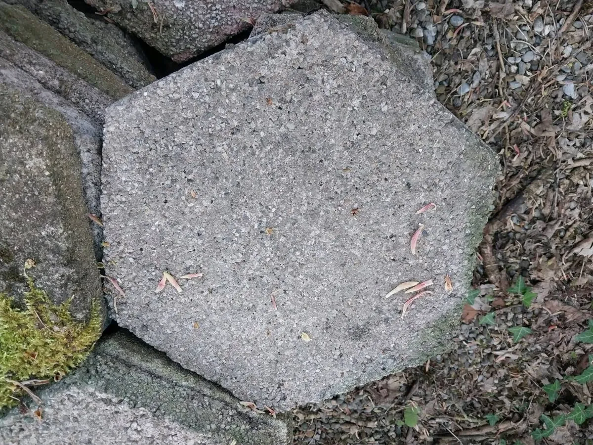 Flag stones paving - Image 3