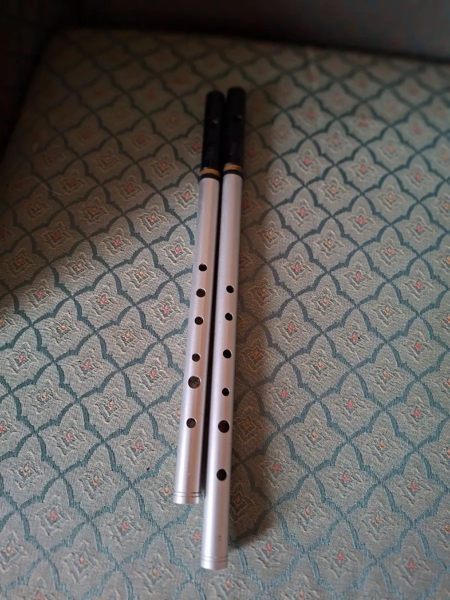Tin whistle