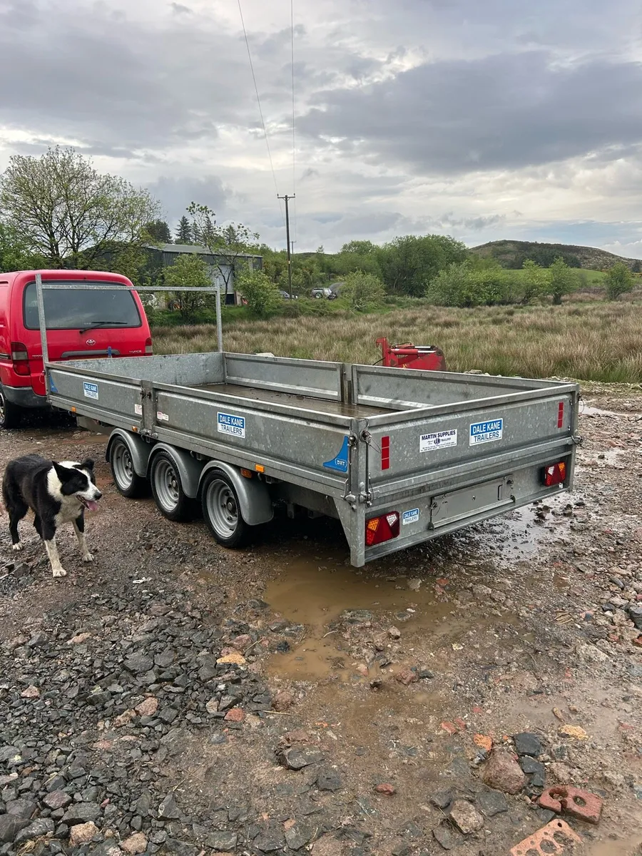 Dale kane 14 x 6’6 tri axle trailer - Image 4