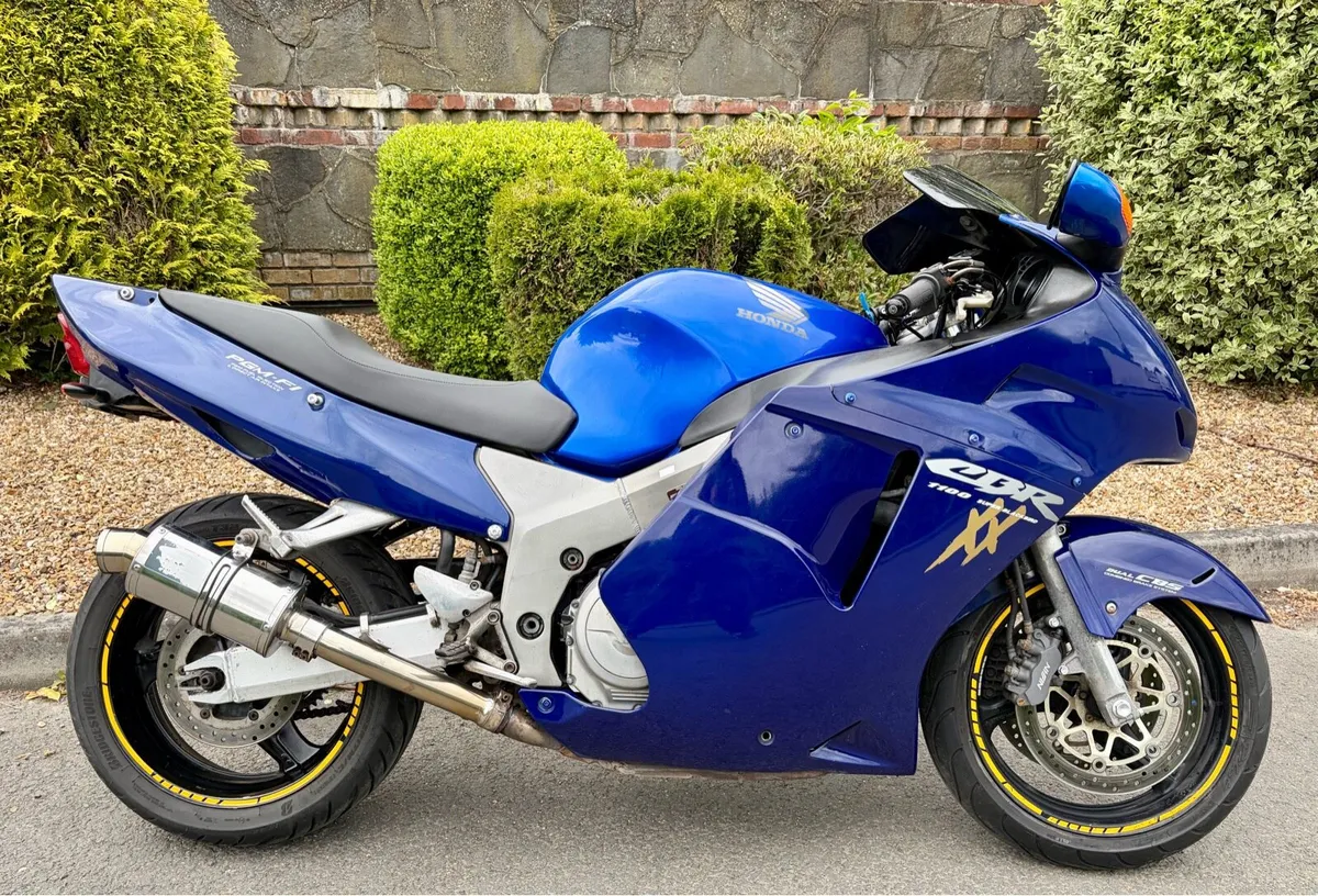 Honda CBR1100XX BLACKBIRD - Image 2