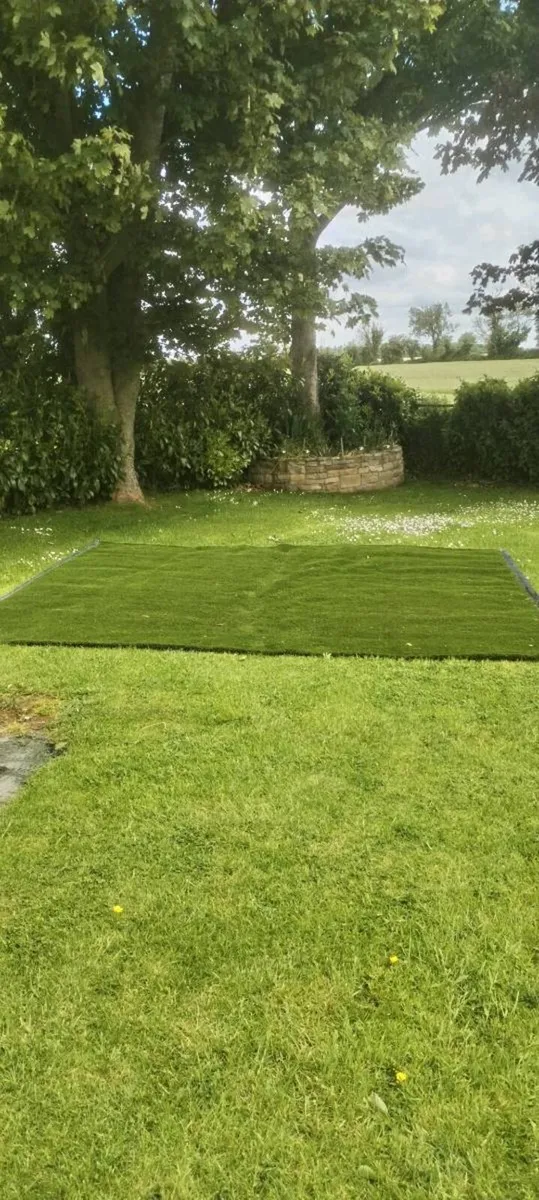Artificial grass - Image 4
