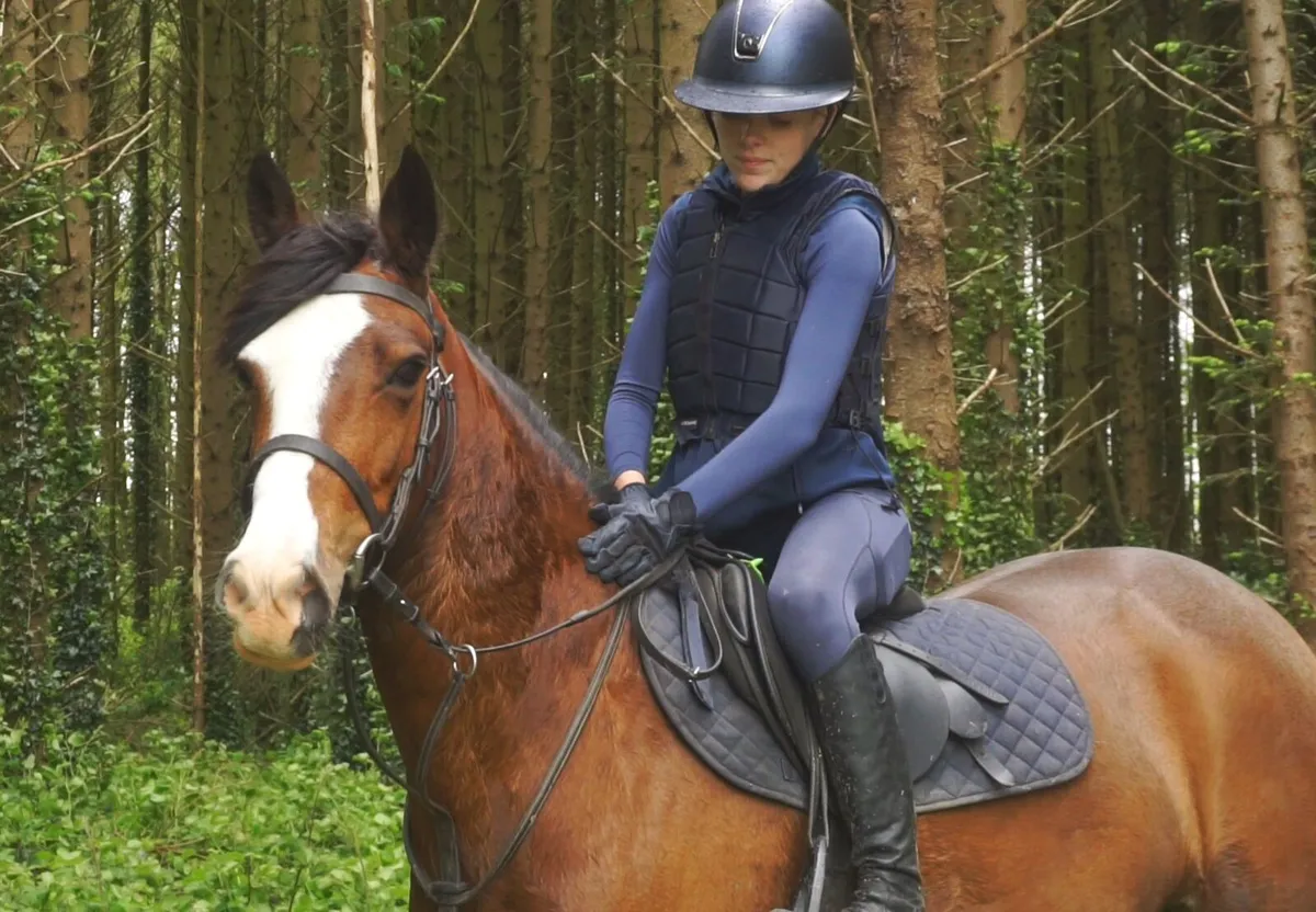🌟 13.2h Pony Club Pony 🌟 - Image 1