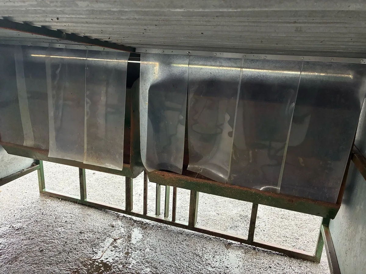 Calf creep feeder - Image 4