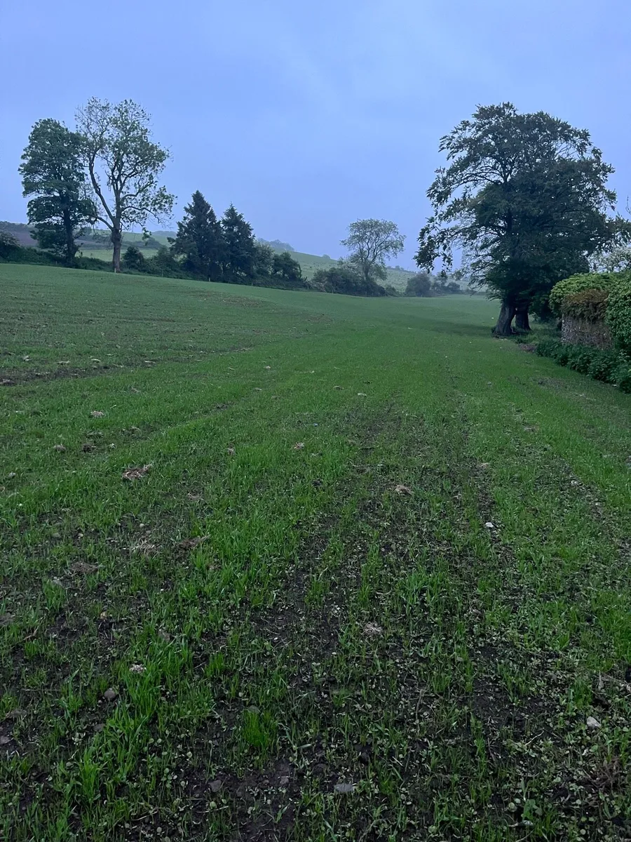 Arable silage - Image 1