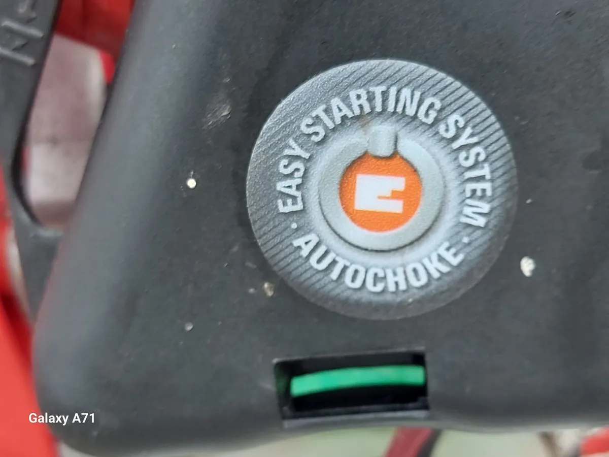 Einhell Petrol Bush Cutter Model WL1E33F, in excel - Image 2